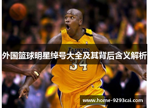 外国篮球明星绰号大全及其背后含义解析