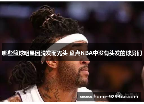 哪些篮球明星因脱发而光头 盘点NBA中没有头发的球员们
