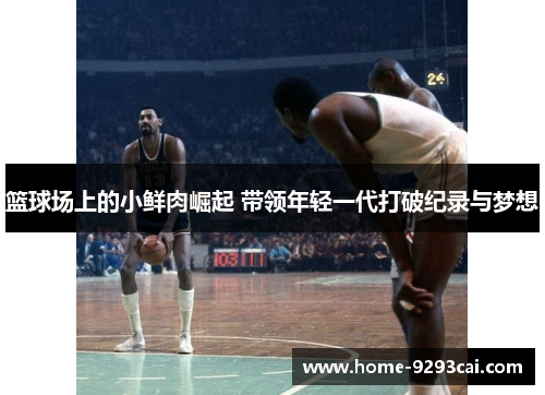 篮球场上的小鲜肉崛起 带领年轻一代打破纪录与梦想