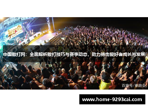 中国散打网：全面解析散打技巧与赛事动态，助力搏击爱好者成长与发展