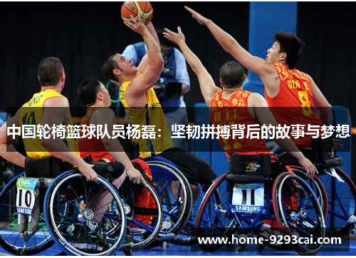 中国轮椅篮球队员杨磊：坚韧拼搏背后的故事与梦想